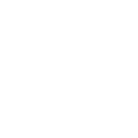 Oduist